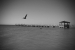 Key West, Florida - United States of America